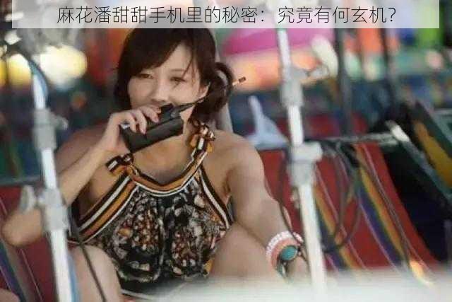 麻花潘甜甜手机里的秘密:究竟有何玄机?