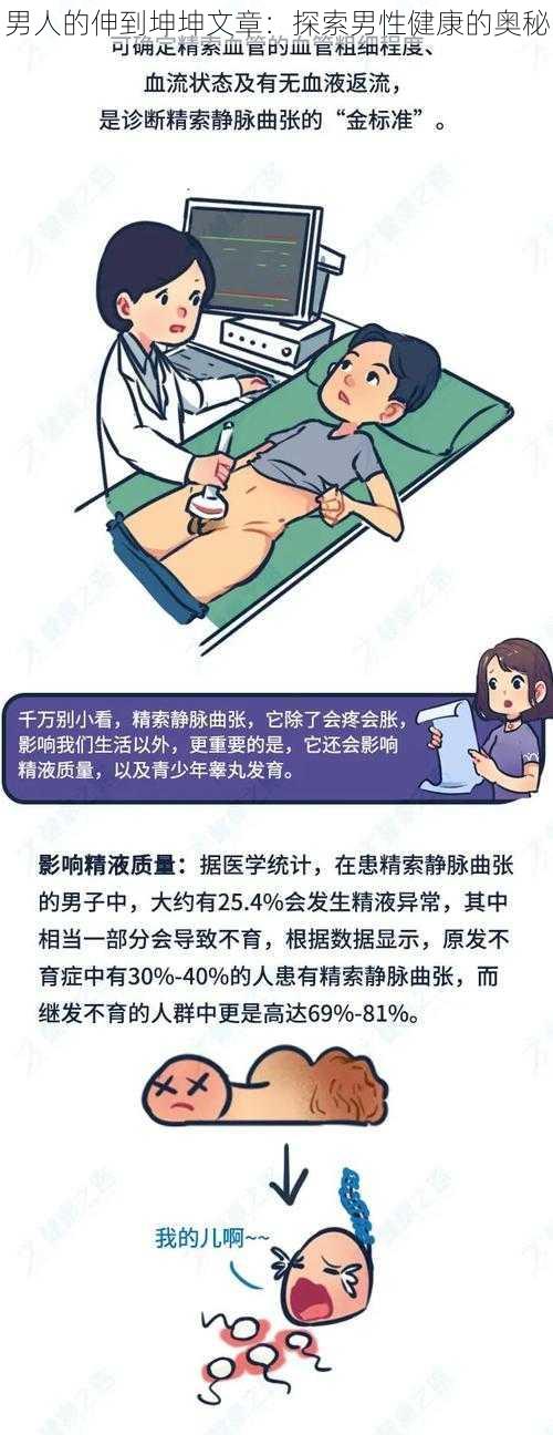 男人的伸到坤坤文章:探索男性健康的奥秘