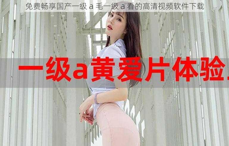 免费畅享国产一级 a 毛一级 a 看的高清视频软件下载