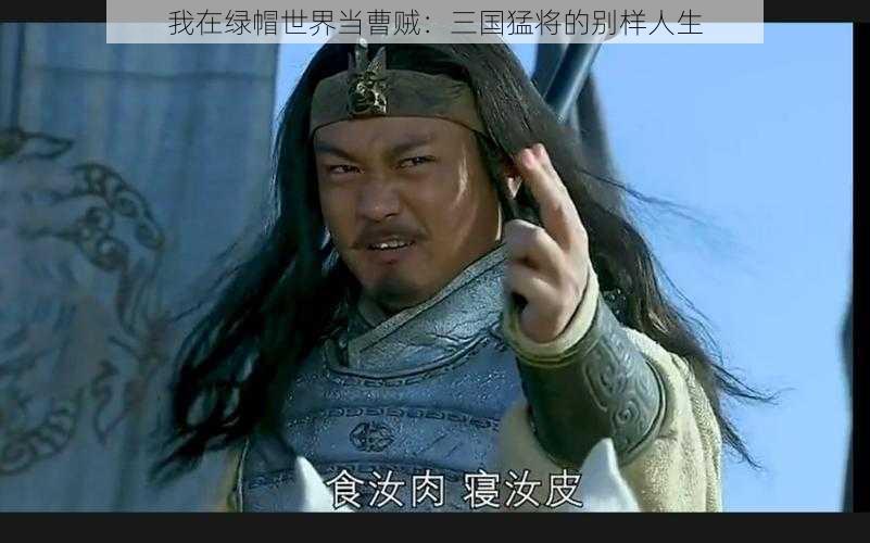 我在绿帽世界当曹贼:三国猛将的别样人生