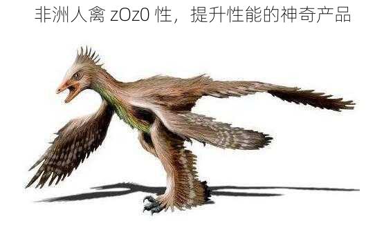 非洲人禽 zOz0 性,提升性能的神奇产品