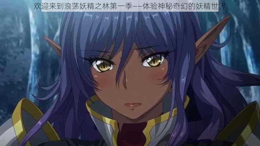欢迎来到浪荡妖精之林第一季——体验神秘奇幻的妖精世界