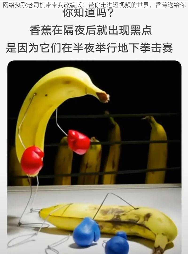 网络热歌老司机带带我改编版：带你走进短视频的世界，香蕉送给你