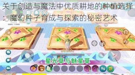 关于创造与魔法中优质耕地的种植选择：魔幻种子育成与探索的秘密艺术