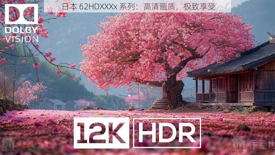 日本 62HDXXXx 系列：高清画质，极致享受