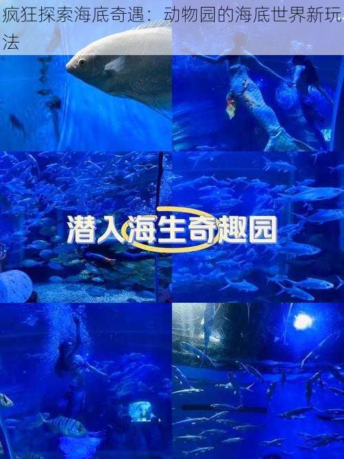 疯狂探索海底奇遇：动物园的海底世界新玩法