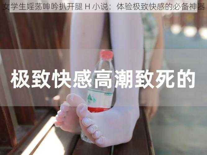 女学生婬荡呻吟扒开腿 H 小说：体验极致快感的必备神器