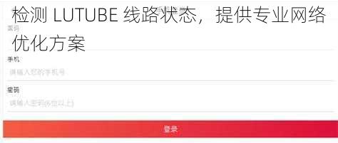 检测 LUTUBE 线路状态，提供专业网络优化方案