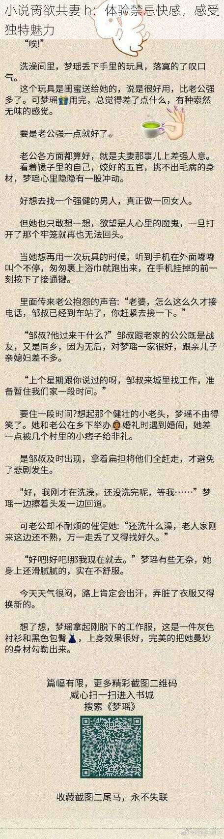 小说脔欲共妻 h：体验禁忌快感，感受独特魅力