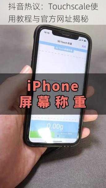 抖音热议：Touchscale使用教程与官方网址揭秘