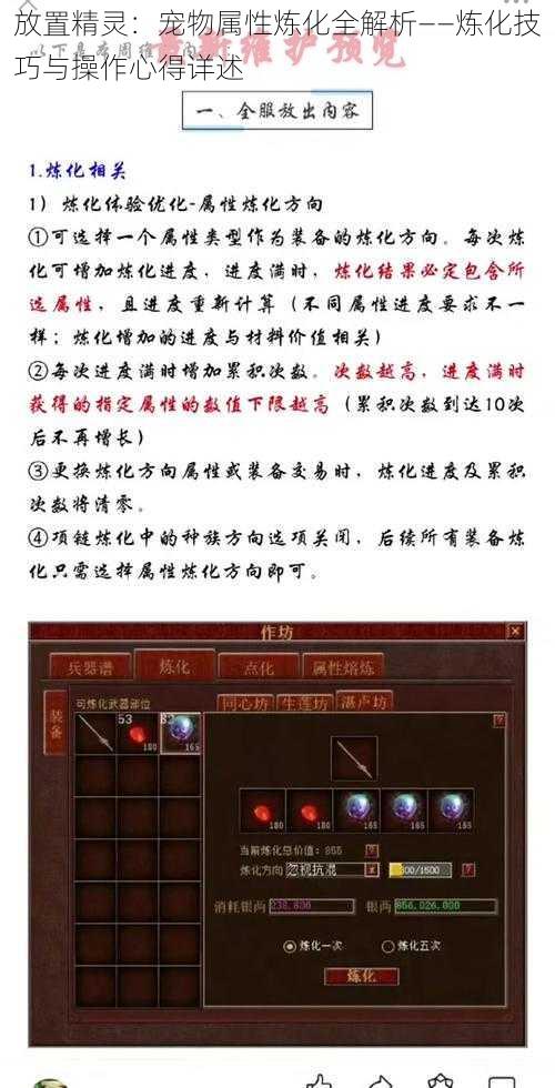 放置精灵：宠物属性炼化全解析——炼化技巧与操作心得详述