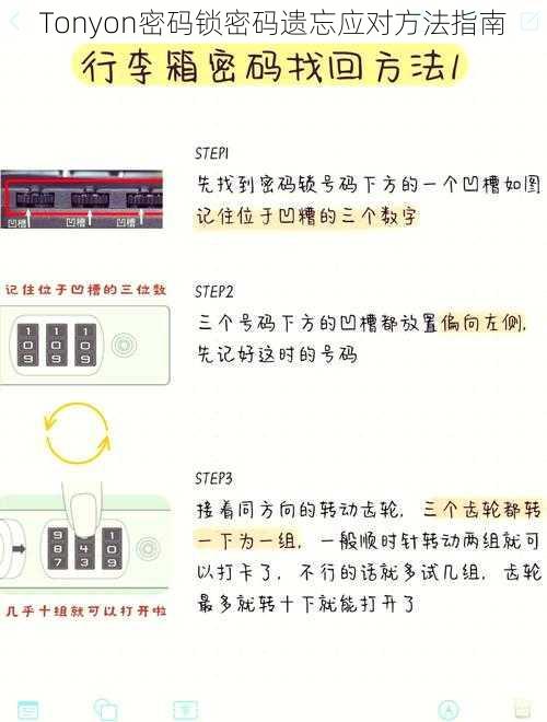 Tonyon密码锁密码遗忘应对方法指南