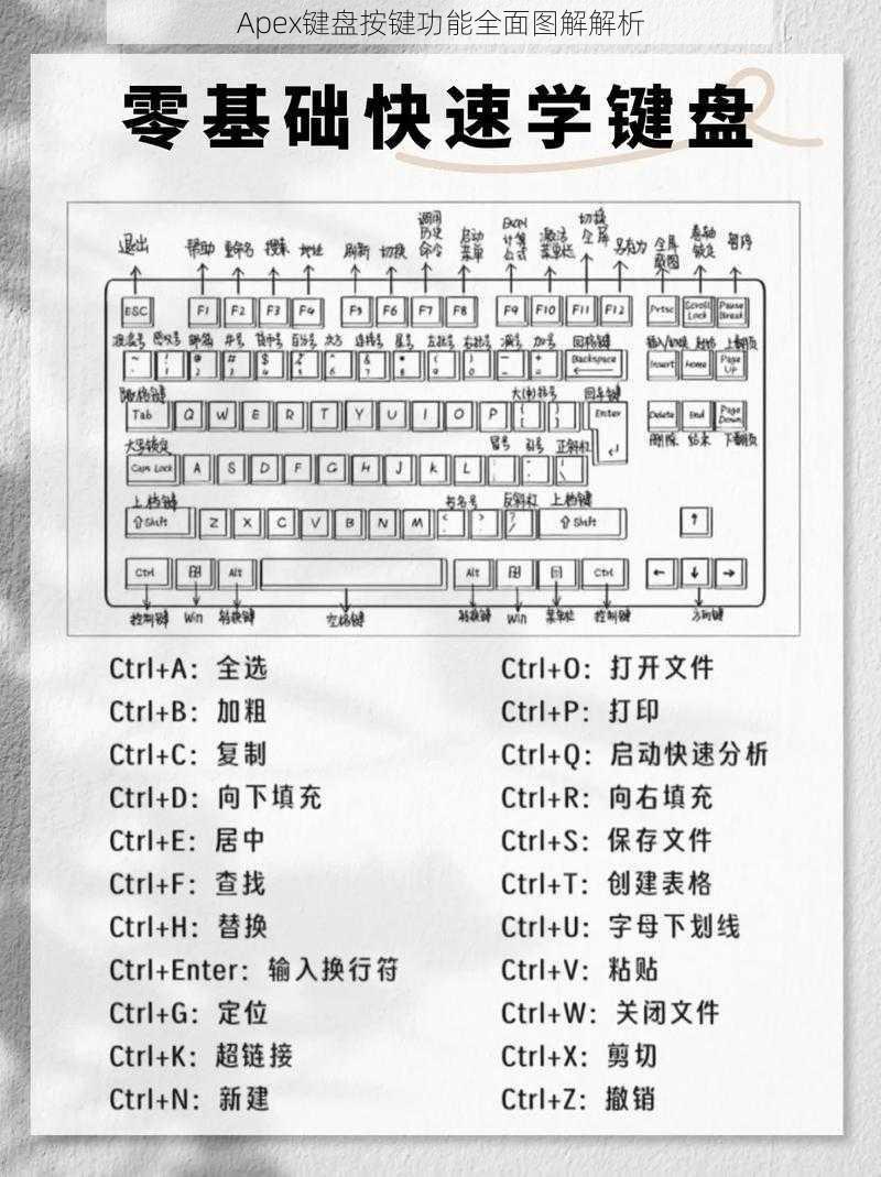 Apex键盘按键功能全面图解解析