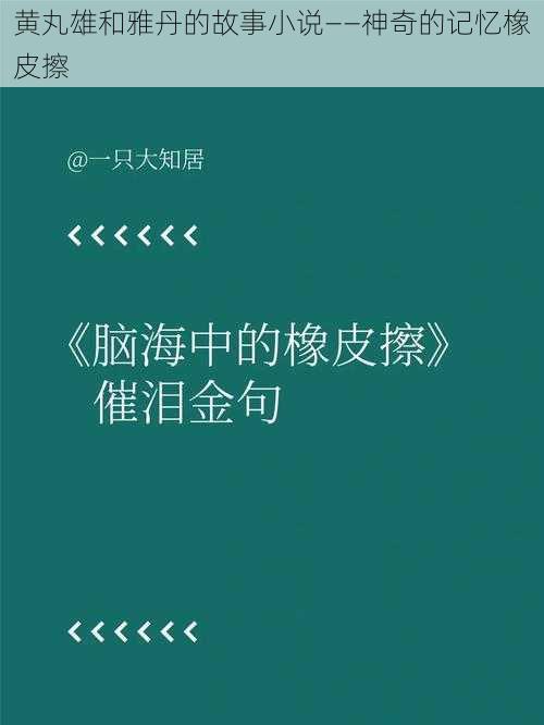 黄丸雄和雅丹的故事小说——神奇的记忆橡皮擦