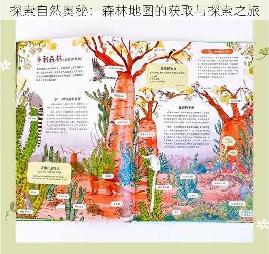探索自然奥秘:森林地图的获取与探索之旅