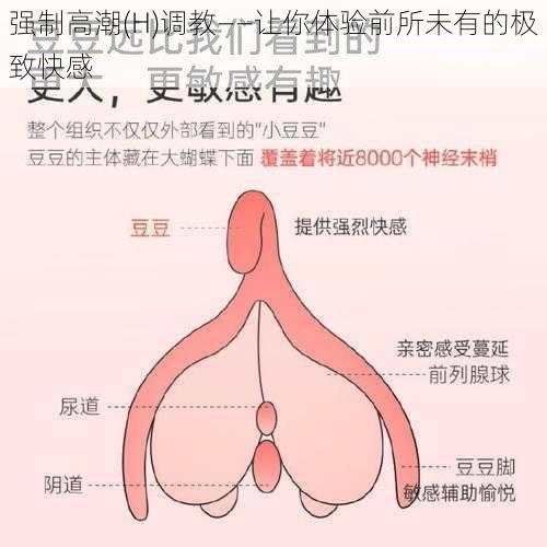强制高潮(H)调教——让你体验前所未有的极致快感