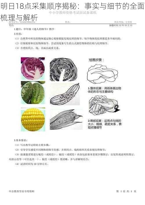 明日18点采集顺序揭秘:事实与细节的全面梳理与解析