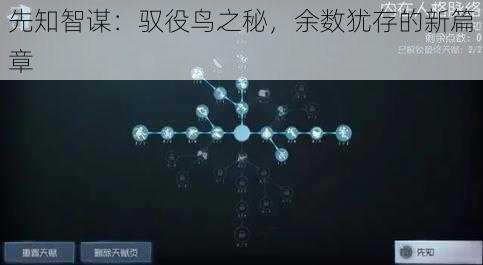 先知智谋:驭役鸟之秘,余数犹存的新篇章