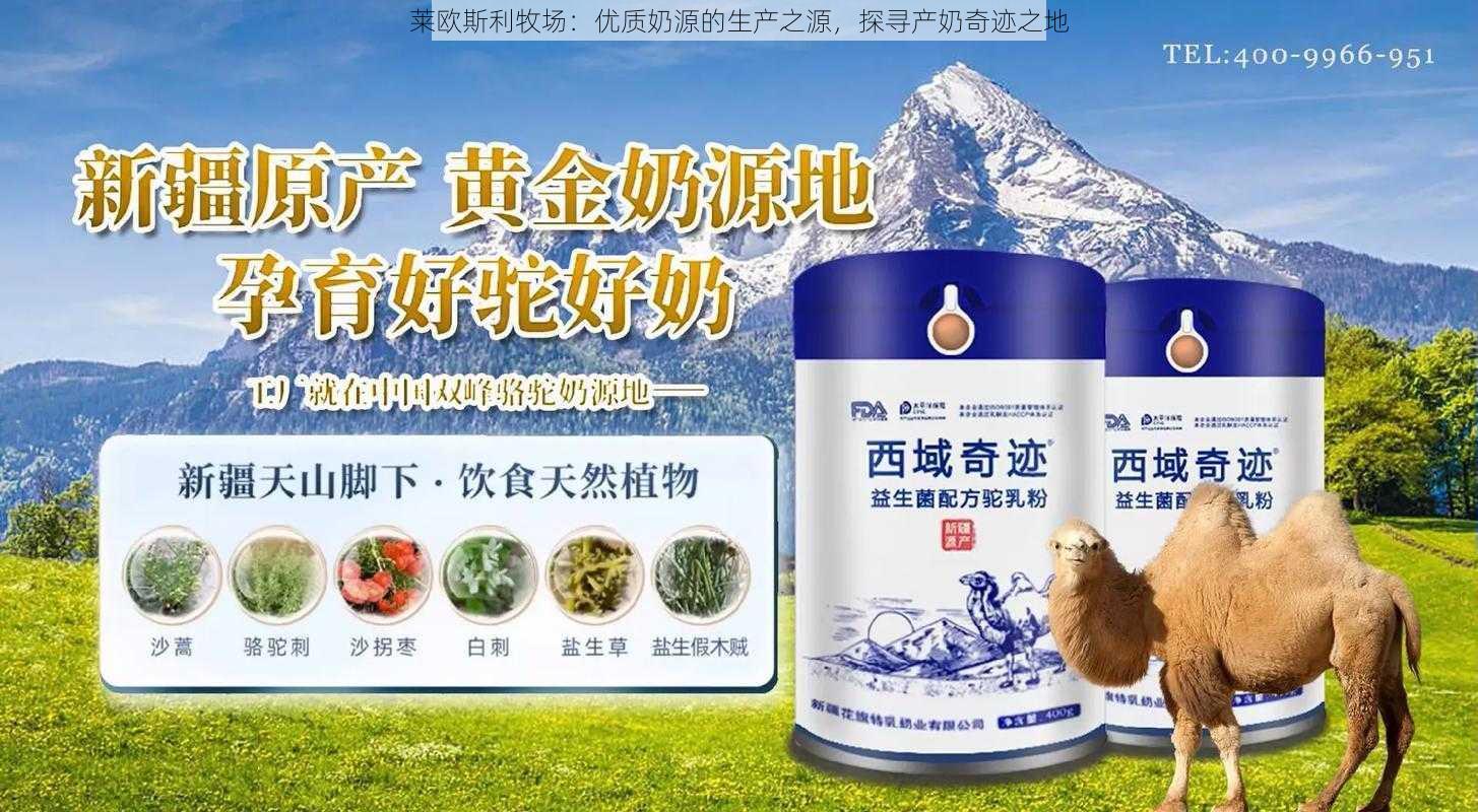 莱欧斯利牧场:优质奶源的生产之源,探寻产奶奇迹之地