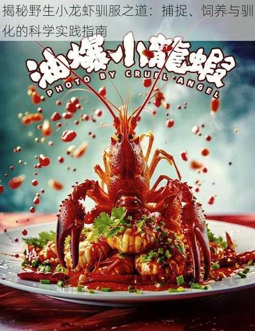 揭秘野生小龙虾驯服之道:捕捉、饲养与驯化的科学实践指南