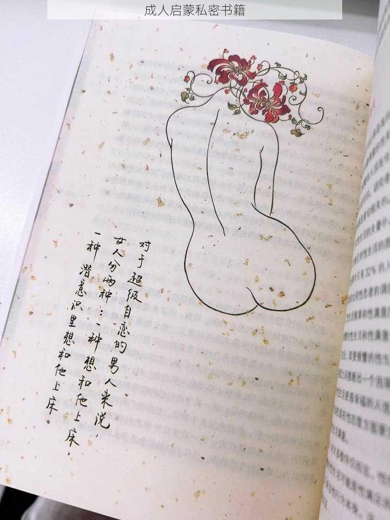 成人启蒙私密书籍