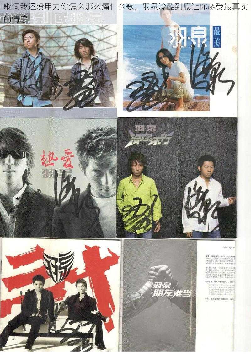歌词我还没用力你怎么那么痛什么歌,羽泉冷酷到底让你感受最真实的情感