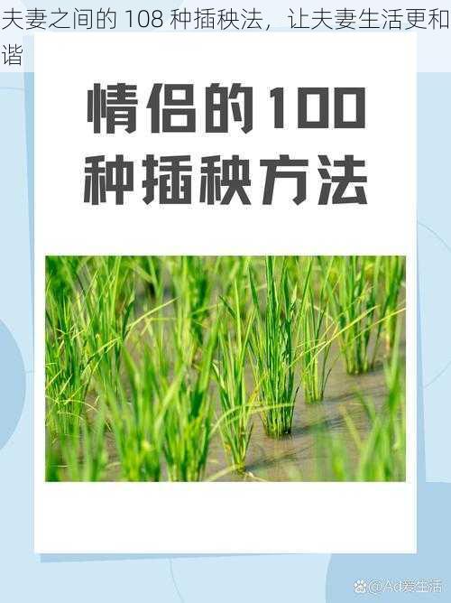 夫妻之间的 108 种插秧法，让夫妻生活更和谐