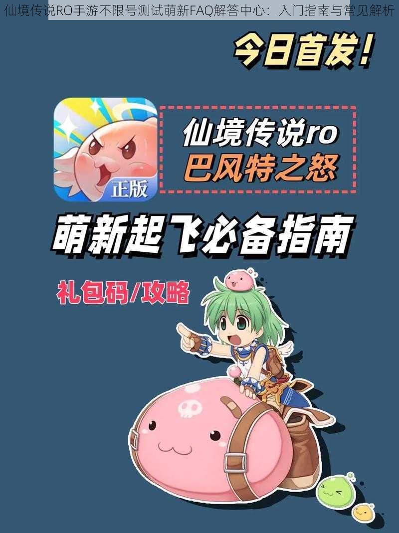 仙境传说RO手游不限号测试萌新FAQ解答中心:入门指南与常见解析