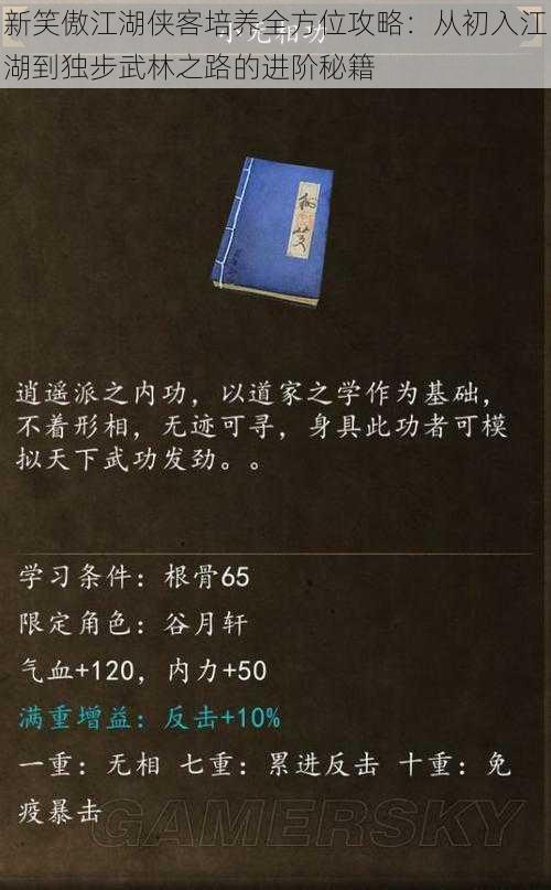 新笑傲江湖侠客培养全方位攻略：从初入江湖到独步武林之路的进阶秘籍