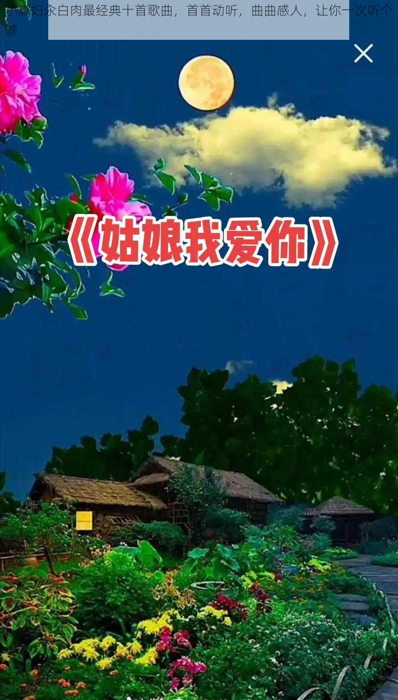 小寡妇汆白肉最经典十首歌曲，首首动听，曲曲感人，让你一次听个够