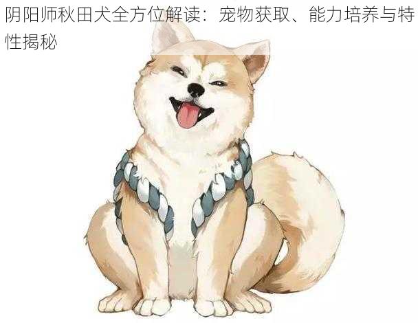 阴阳师秋田犬全方位解读：宠物获取、能力培养与特性揭秘