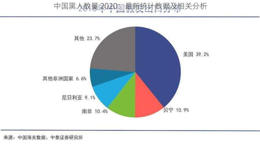 中国黑人数量 2020：最新统计数据及相关分析