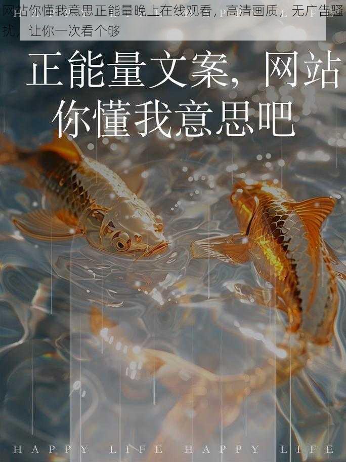 网站你懂我意思正能量晚上在线观看，高清画质，无广告骚扰，让你一次看个够