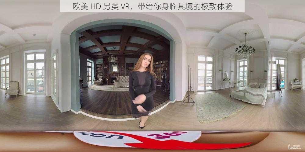 欧美 HD 另类 VR，带给你身临其境的极致体验