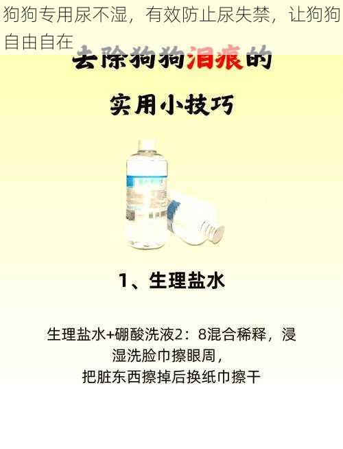 狗狗专用尿不湿，有效防止尿失禁，让狗狗自由自在