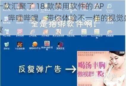 一款汇聚了 18 款禁用软件的 APP，哔哩哔哩，带你体验不一样的视觉盛宴