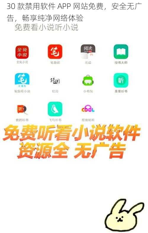 30 款禁用软件 APP 网站免费，安全无广告，畅享纯净网络体验