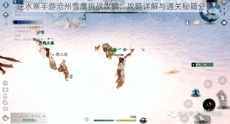 逆水寒手游沧州雪鹰挑战攻略：攻略详解与通关秘籍分享