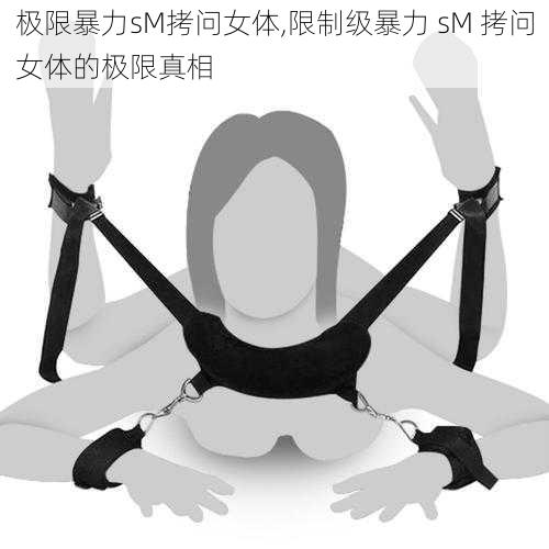 极限暴力sM拷问女体,限制级暴力 sM 拷问女体的极限真相