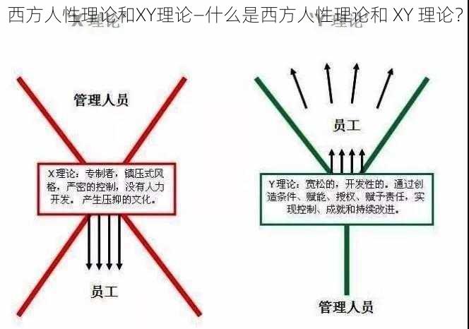 西方人性理论和XY理论—什么是西方人性理论和 XY 理论？