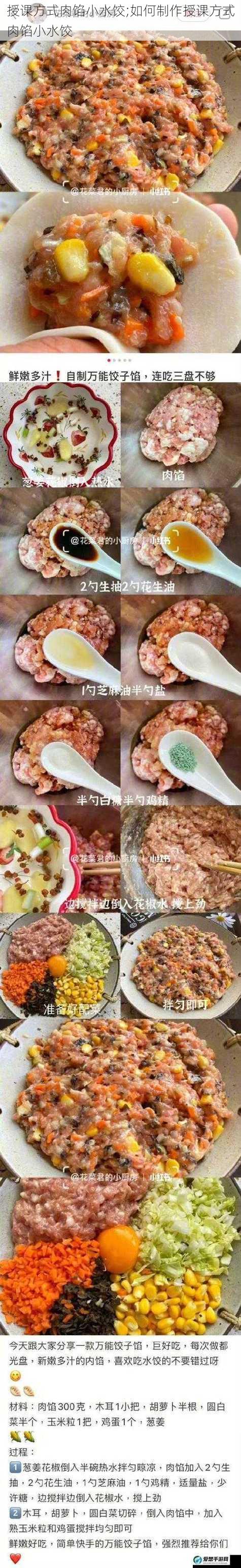 授课方式肉馅小水饺;如何制作授课方式肉馅小水饺