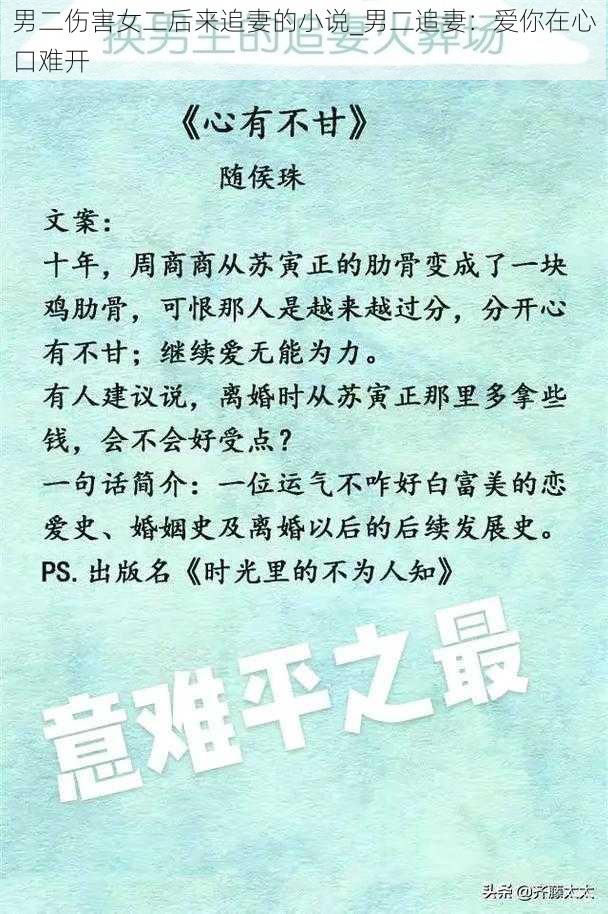 男二伤害女二后来追妻的小说_男二追妻：爱你在心口难开