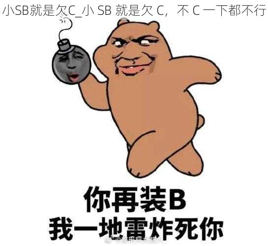 小SB就是欠C_小 SB 就是欠 C，不 C 一下都不行