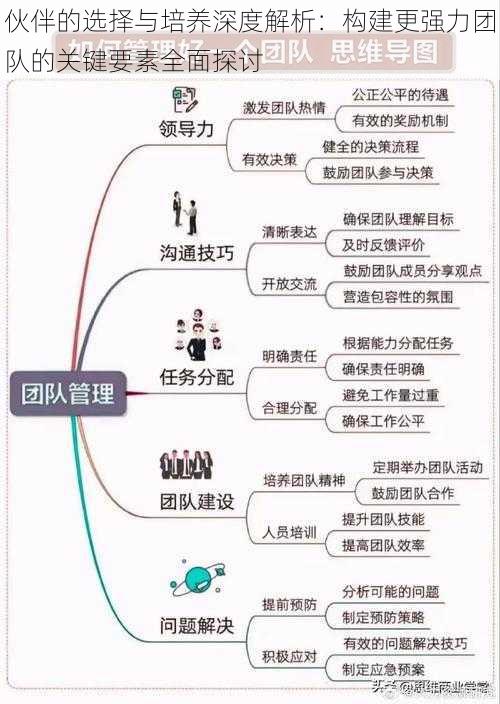 伙伴的选择与培养深度解析：构建更强力团队的关键要素全面探讨