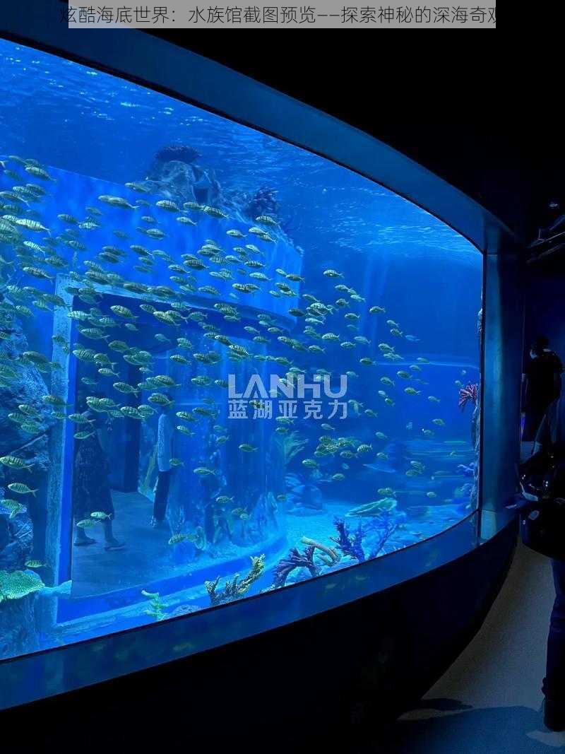 炫酷海底世界：水族馆截图预览——探索神秘的深海奇观