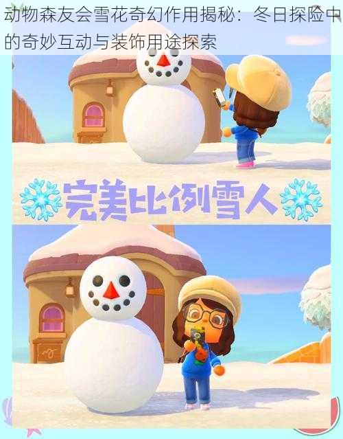 动物森友会雪花奇幻作用揭秘：冬日探险中的奇妙互动与装饰用途探索