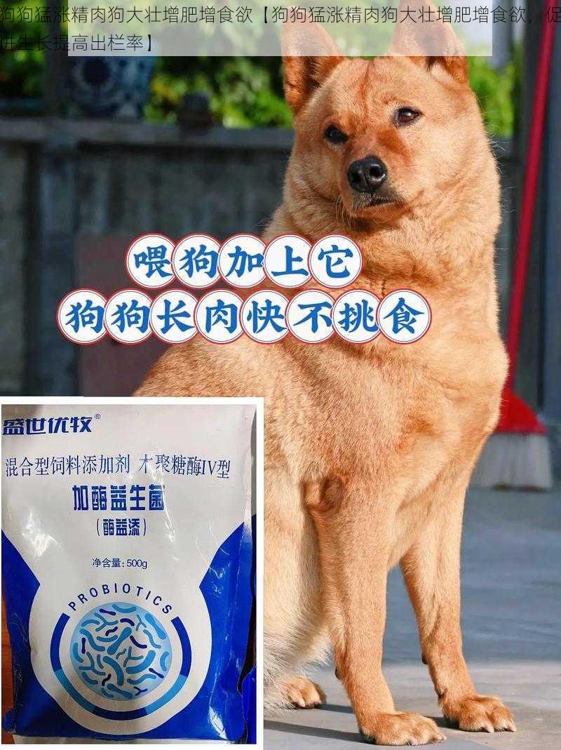 狗狗猛涨精肉狗大壮增肥增食欲【狗狗猛涨精肉狗大壮增肥增食欲，促进生长提高出栏率】