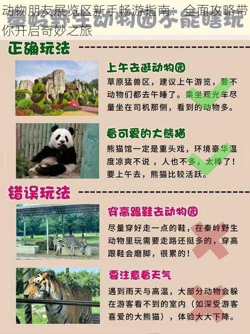 动物朋友展览区新手畅游指南：全面攻略带你开启奇妙之旅