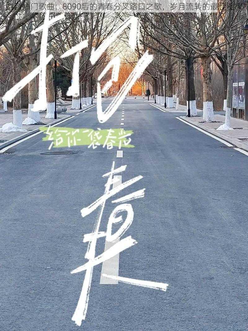 抖音热门歌曲：8090后的青春分叉路口之歌，岁月流转的最佳旋律