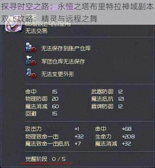 探寻时空之路:永恒之塔布里特拉神域副本双飞攻略:精灵与远程之舞
